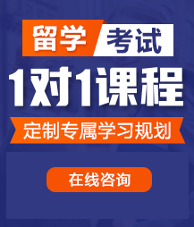 骚货美女被大吊操穴喷白浆视频留学考试一对一精品课